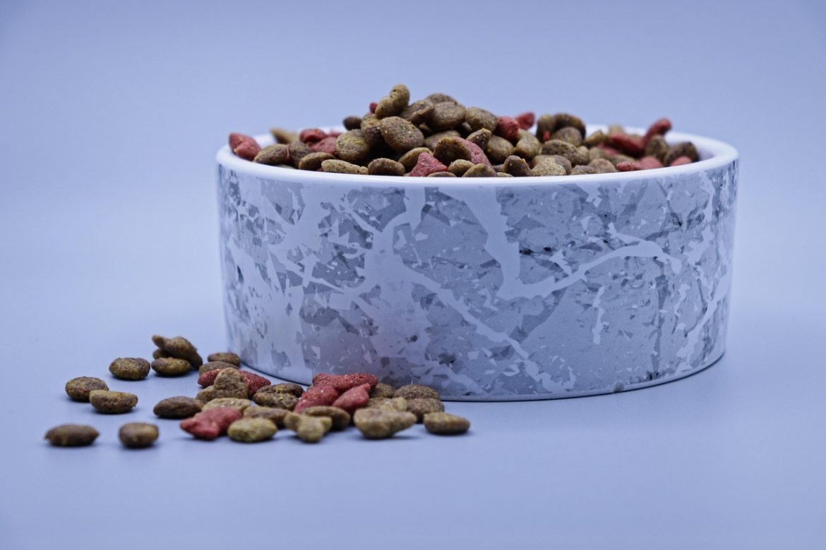 The Mystery of Cat Food Portions: Unraveling the Daily Feeding Routine